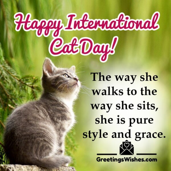 International Cat Day Messages And Quotes 8th August Greetings Wishes