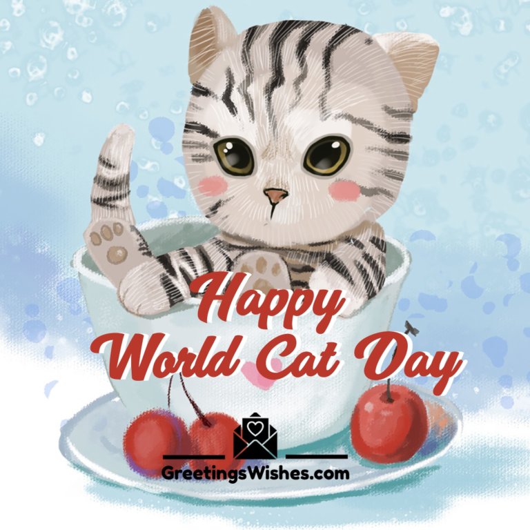 International Cat Day Messages And Quotes Th August Greetings Wishes