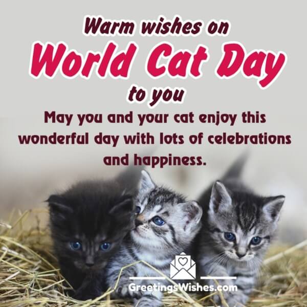 International Cat Day Messages And Quotes Th August Greetings Wishes