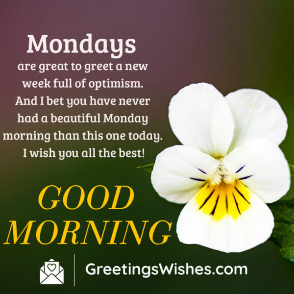 Monday Morning Wishes - Greetings Wishes