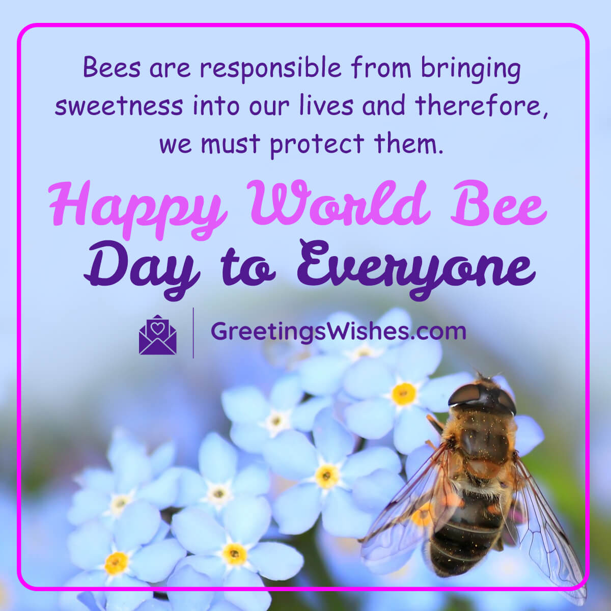 World Bee Day Images