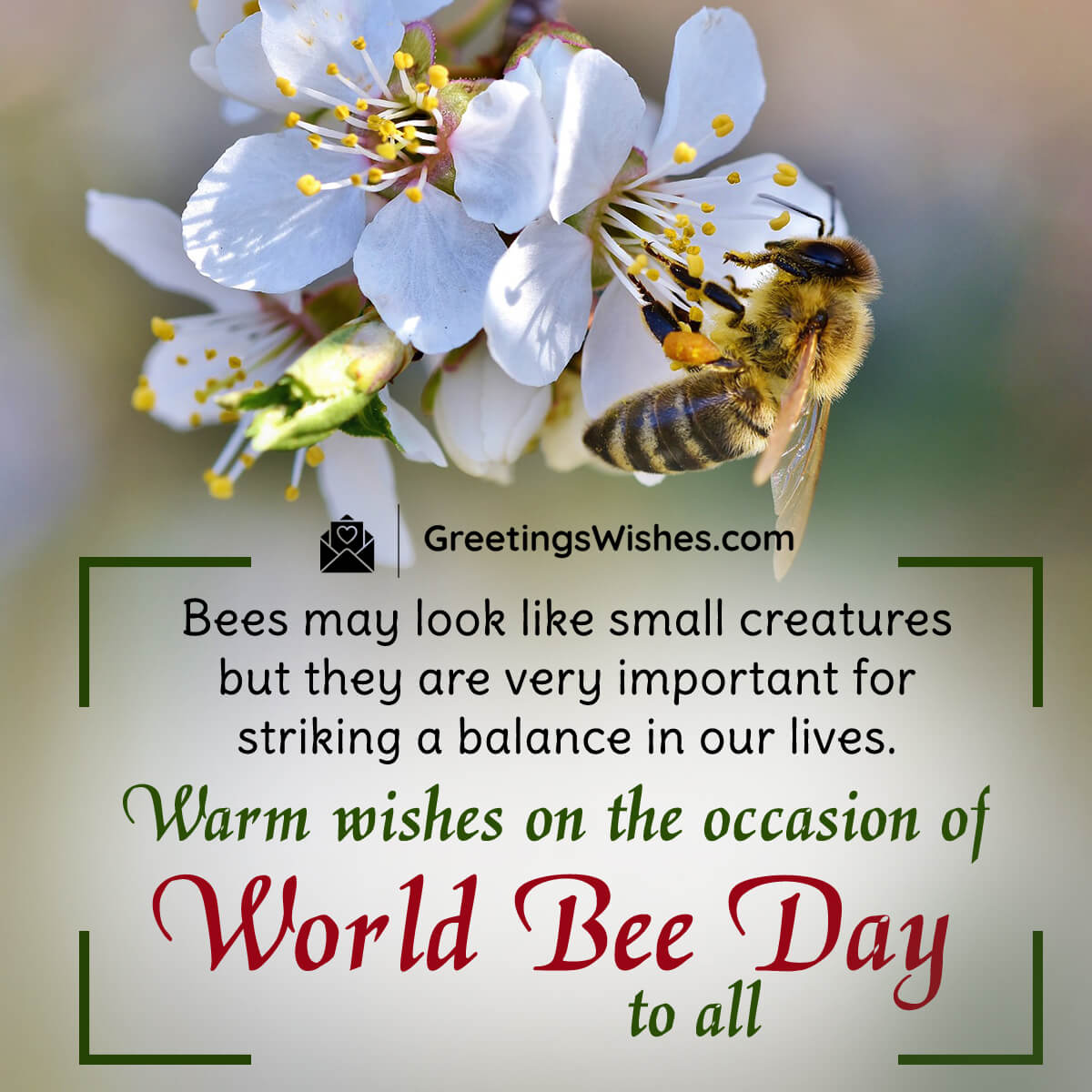 World Bee Day Wish