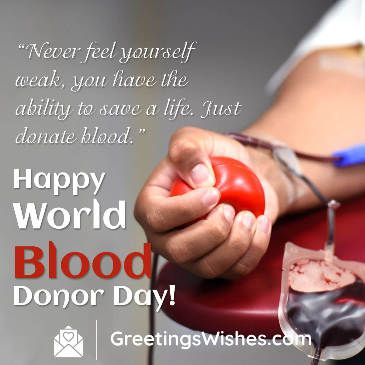 World Blood Donor Day