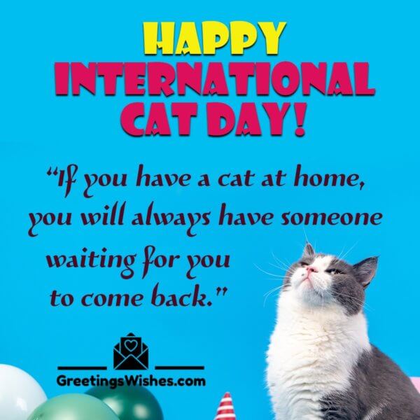 International Cat Day Messages And Quotes (8th August) - Greetings Wishes