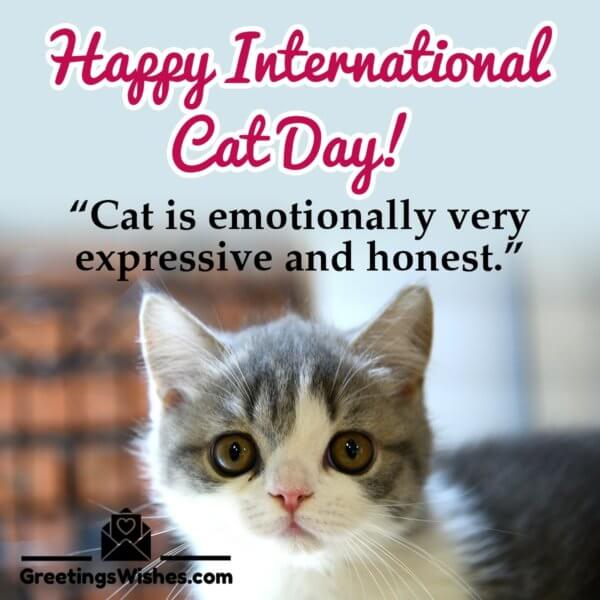 International Cat Day Messages And Quotes (8th August) - Greetings Wishes