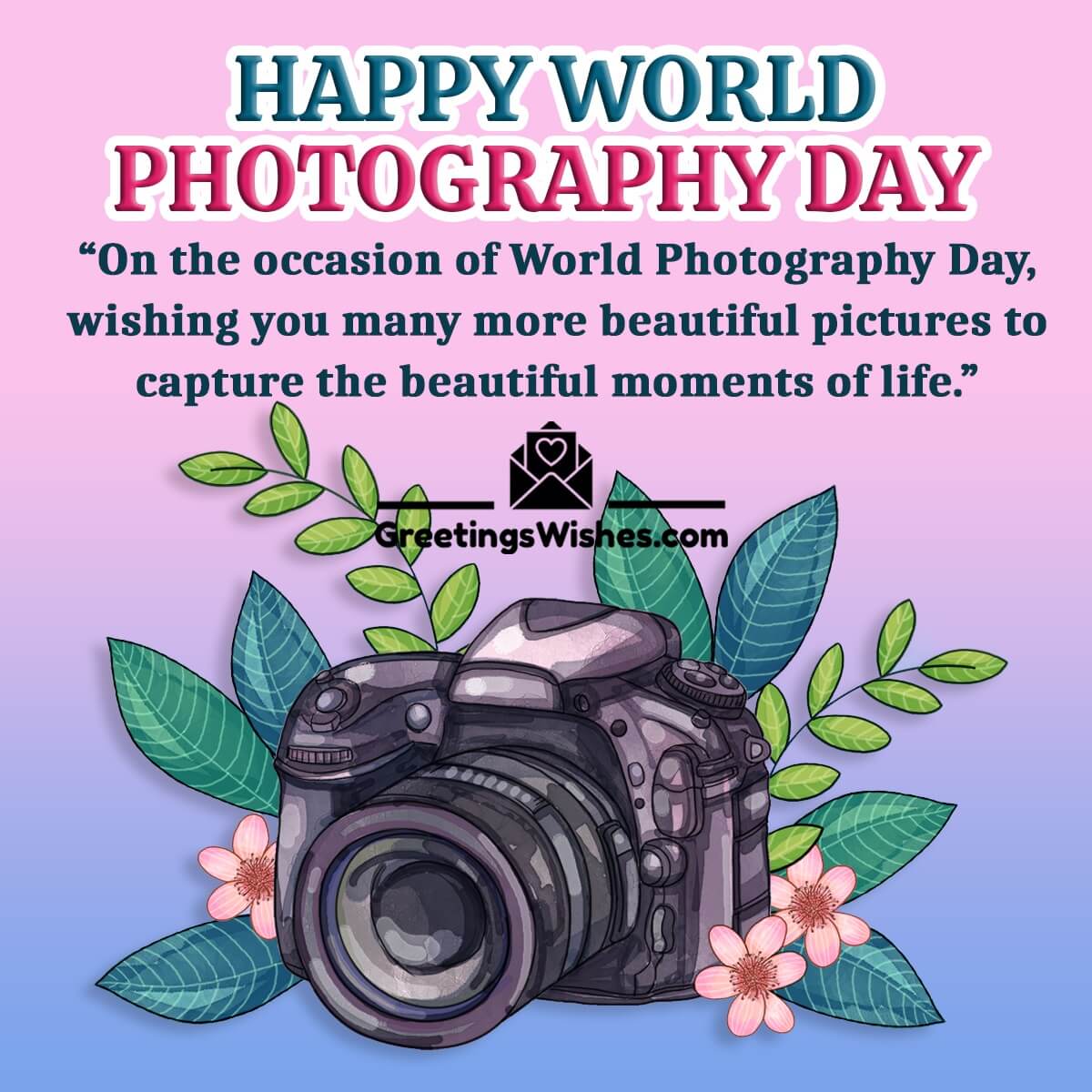 World Photography Day Whatsapp Status