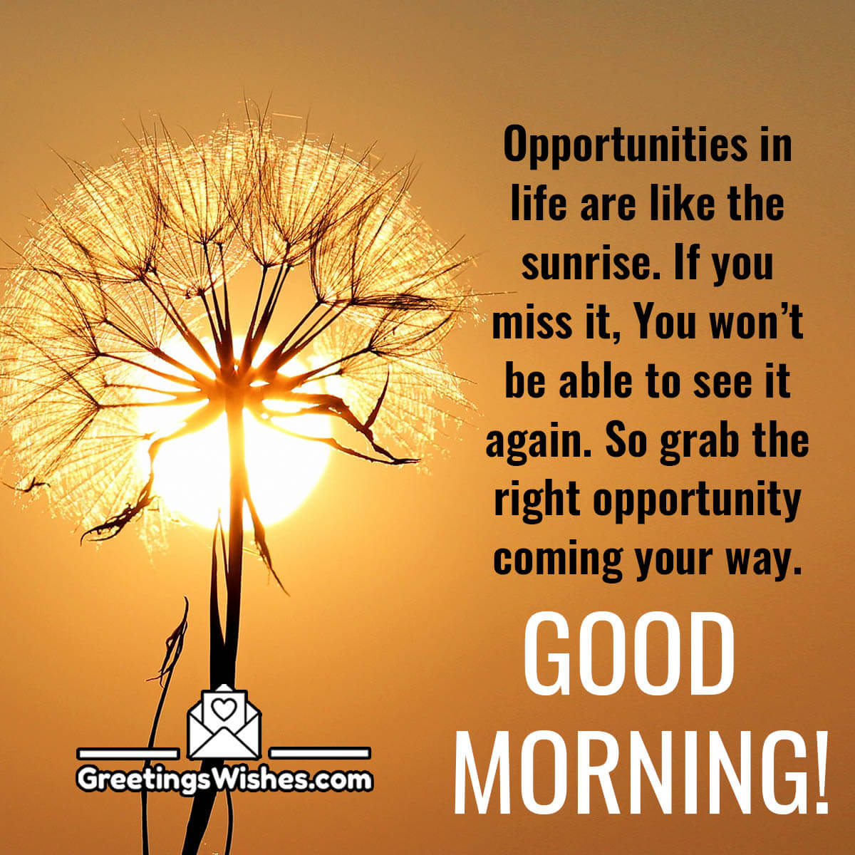 Inspirational Good Morning Wishes - Greetings Wishes