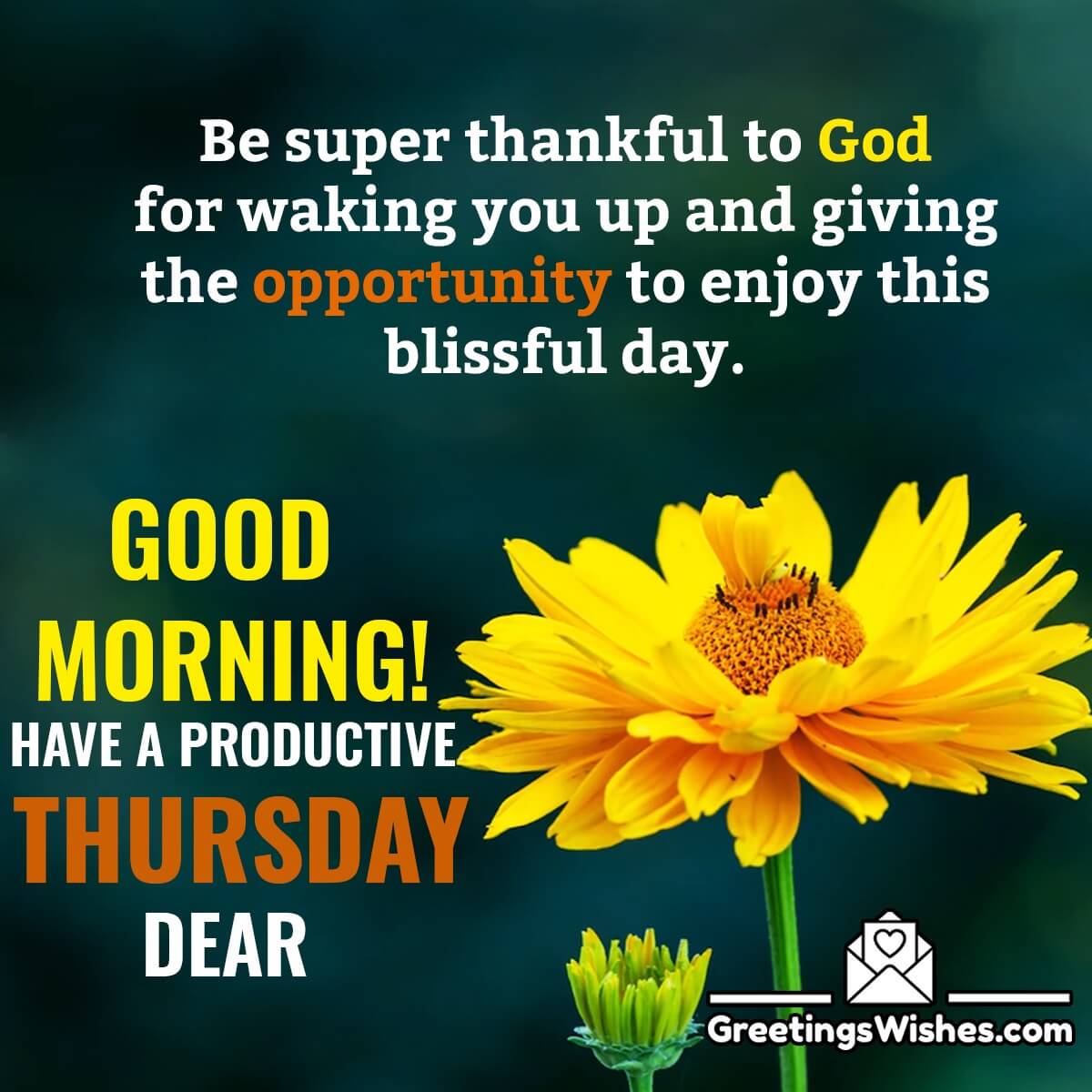 Thursday Morning Wishes Greetings Wishes