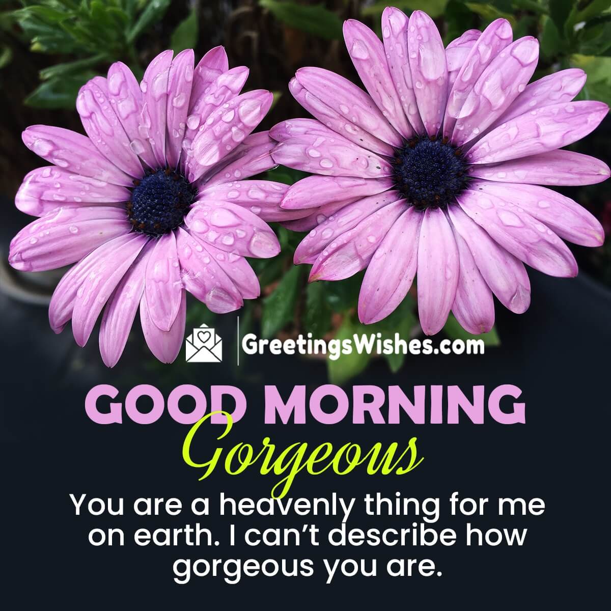 good-morning-messages-for-her-greetings-wishes