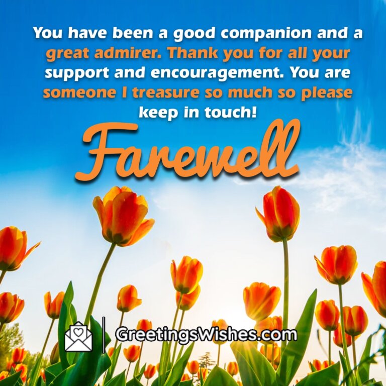 Best Farewell Wishes Messages - Greetings Wishes