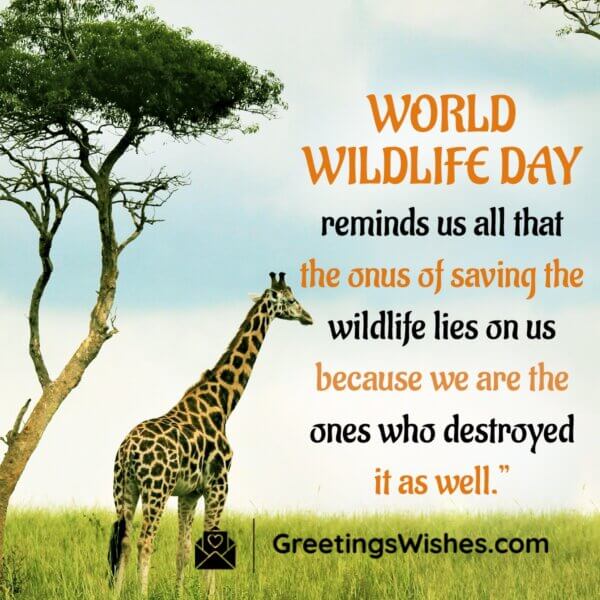 World Wildlife Day Messages And Quotes ( 3 March ) Greetings Wishes