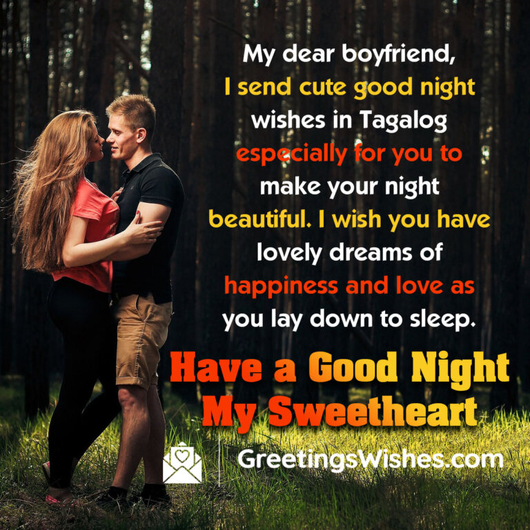 Good Night Messages to Boyfriend - Greetings Wishes