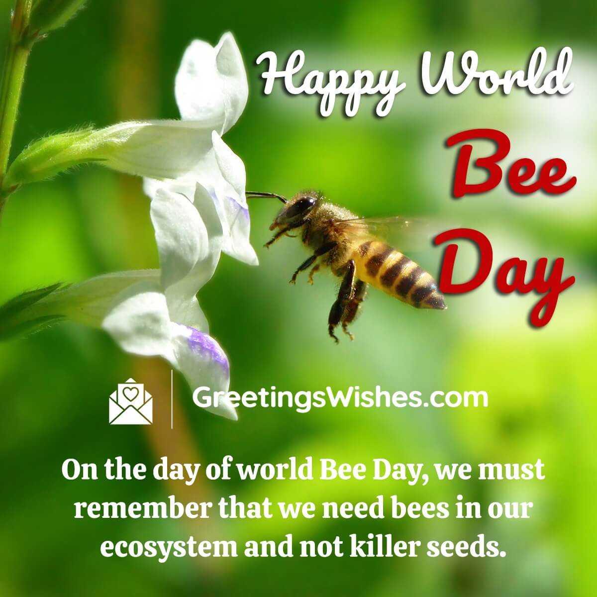 World Bee Day Message