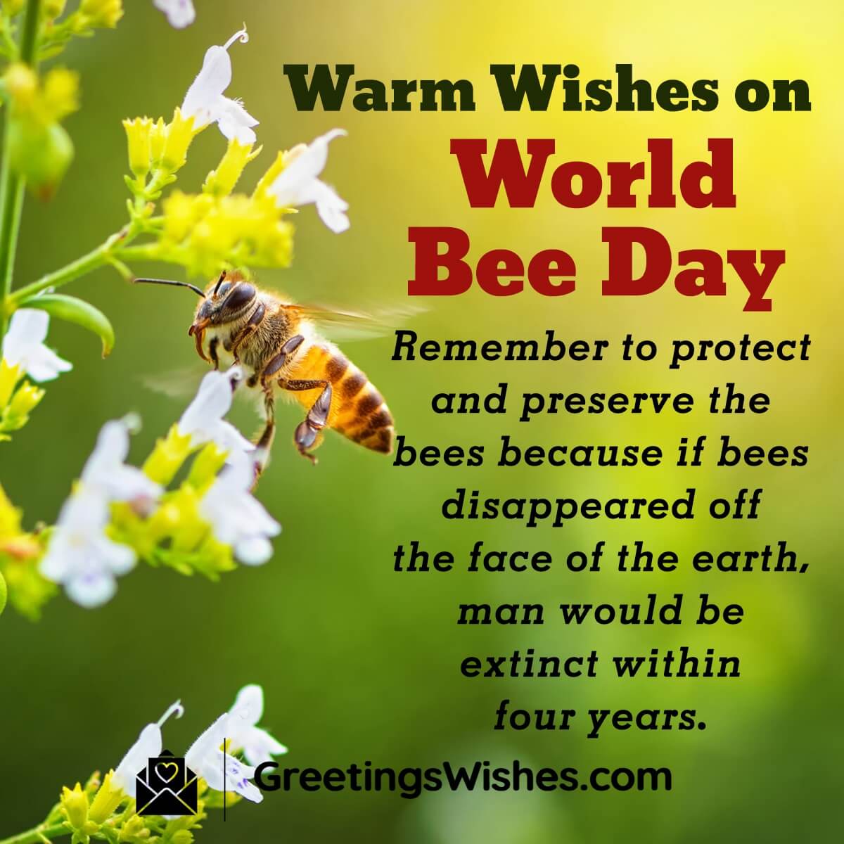 World Bee Day Messages