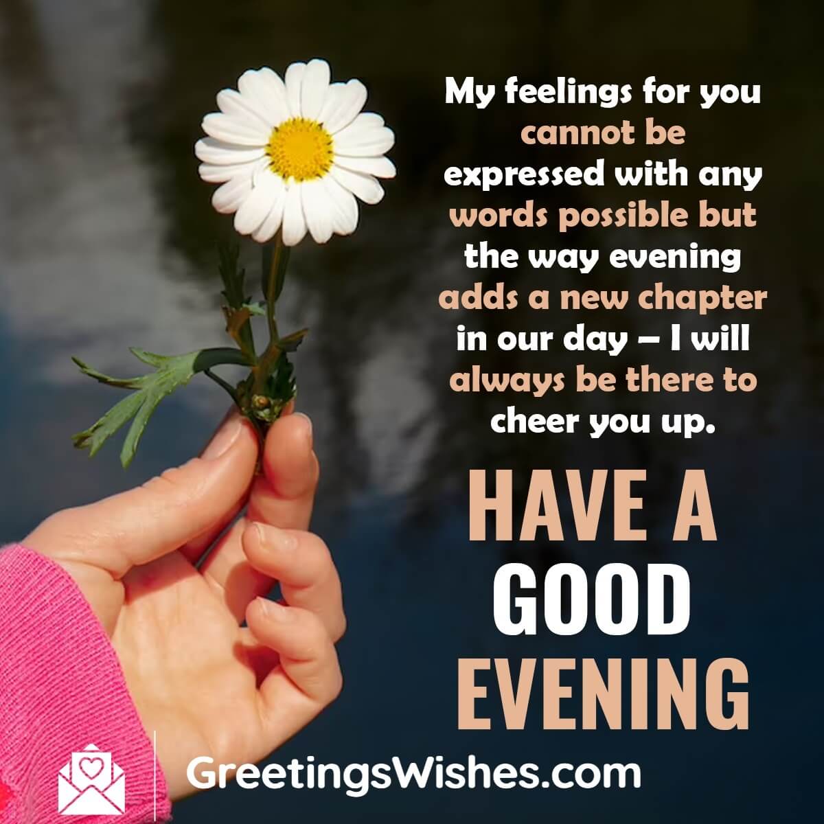 Good Evening Wishes - Greetings Wishes