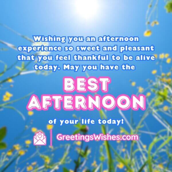 Good Afternoon Messages - Greetings Wishes