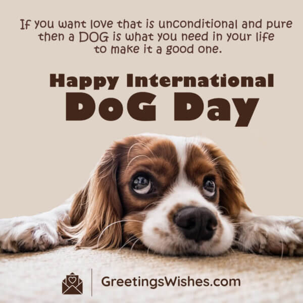 International Dog Day Wishes (26 August) - Greetings Wishes